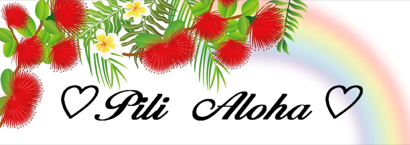 pili aloha　ピリアロハ　藤村恵理　フラ　ふじむらえり　BAILA バイラ baila